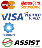 Assit Visa Mastercard